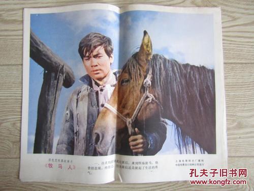 玛格丽特皇后大学会计文凭证书